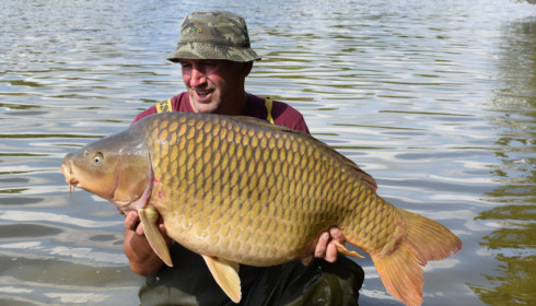 A fish from Brie, Aug 2022