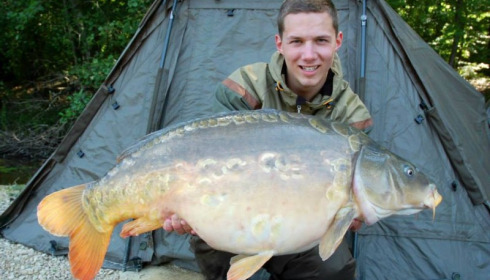 A carp from Brie, Aug 2014