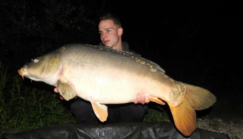 A carp from Brie, Aug 2017