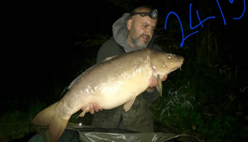 A 24 lb carp from Brie, Jason Ellis, Sep 2017