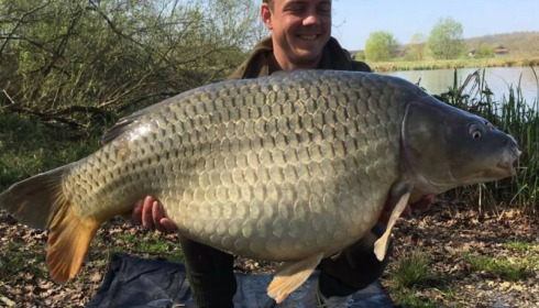 A carp from Brie, Dean, Apr 2017