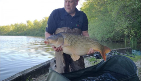 A carp from Brie, May 2019