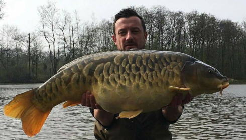 A carp from Brie, Apr 2017