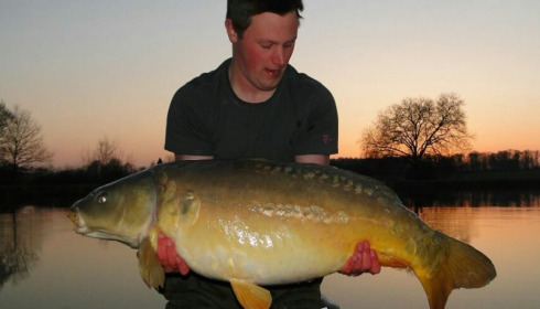 A carp from Brie, Mar 2016