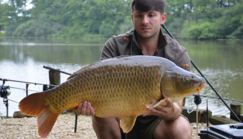 A carp from Brie, Jul 2014