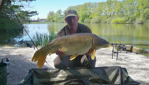 A carp from Brie, May 2016