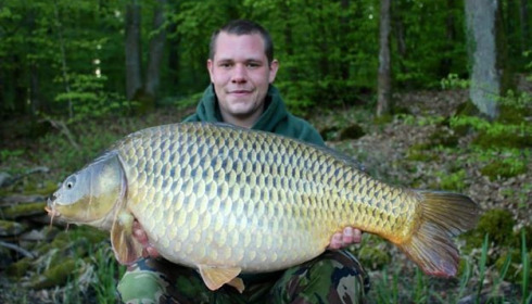 A carp from Brie, Apr 2014