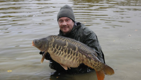 A carp from Brie, Nov 2016