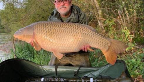 A carp from Brie, Oct 2019