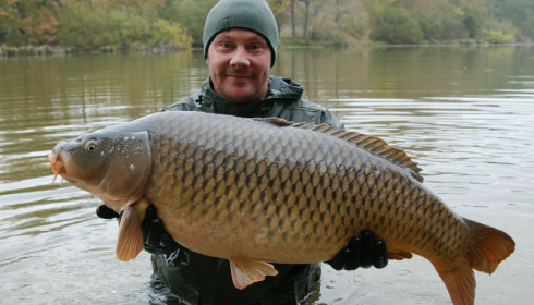 A carp from Brie, Nov 2016