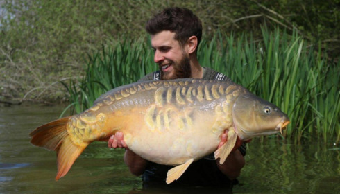 A carp from Brie, Apr 2017