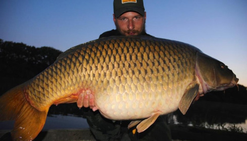 A 56 lb carp from Brie, A new lake record!, Jun 2014