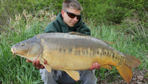 A carp from Brie, Apr 2014