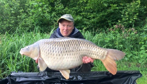 A carp from Brie, Keith Williams, Jun 2016
