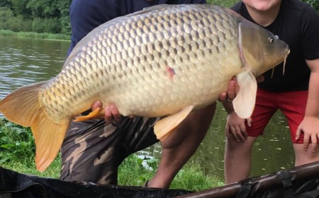 A carp from Brie, Hick's Party, Aug 2017
