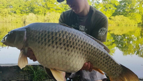 A carp from Brie, May 2018