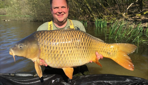A carp from Brie, Apr 2019