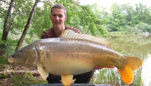 A carp from Brie, Aug 2014