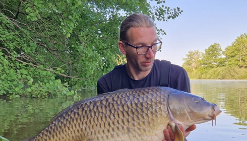 A carp from Brie, Jun 2023