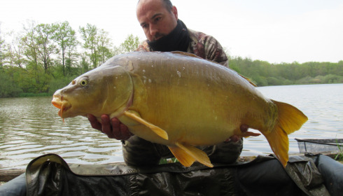A 41 lb carp from Brie, Guillaume Lobmeyer, Apr 2022