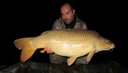 A 35 lb carp from Brie, Guillaume Lobmeyer, Apr 2022
