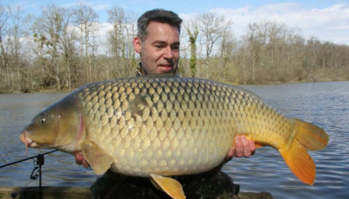 A carp from Brie, Mar 2017