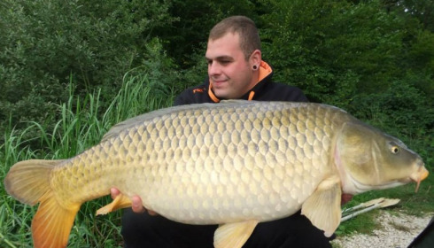 A carp from Brie, Aug 2014