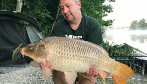 A carp from Brie, May 2018