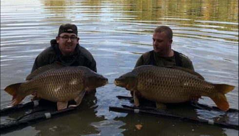 A carp from Brie, Oct 2018