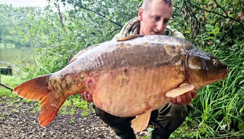 A carp from Brie, Aug 2023