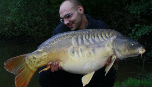 A carp from Brie, Oct 2014
