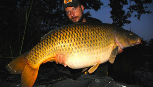 A carp from Brie, Jun 2014