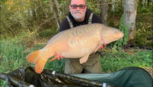 A carp from Brie, Oct 2019