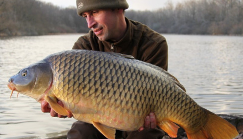 A 26 lb 3 oz carp from Brie, Dean Randle, Mar 2015