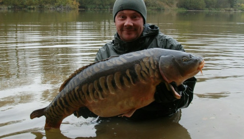 A carp from Brie, Nov 2016