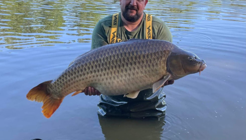 A carp from Brie, Aug 2022