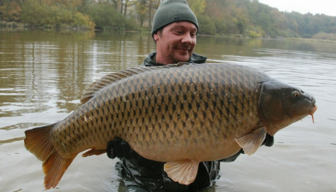 A carp from Brie, Nov 2016