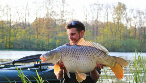 A carp from Brie, Apr 2017