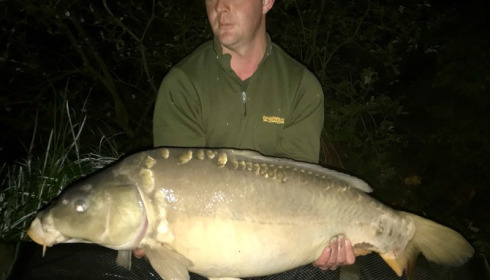 A carp from Brie, Tony Moore, Sep 2017