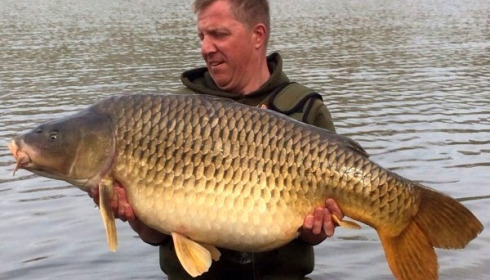 A 51 lb carp from Brie, Shane Robins, Apr 2015