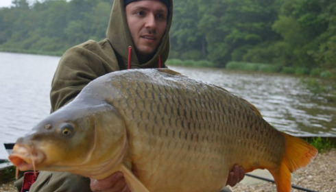 A carp from Brie, Jul 2014