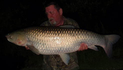 A 42 lb 15 oz grass carp from Brie, Michael Crump, Jun 2019