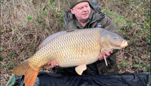 A carp from Brie, Mar 2019