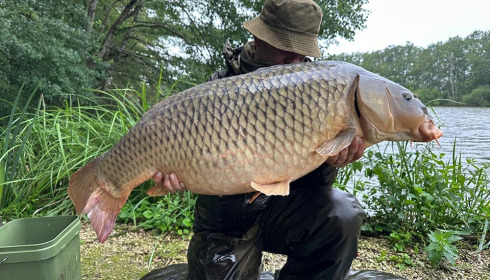 A carp from Brie, Aug 2023