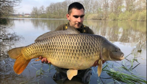 A carp from Brie, Apr 2019