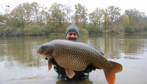 A carp from Brie, Nov 2016