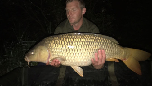 A carp from Brie, Tony Moore, Sep 2017