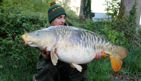 A carp from Brie, Apr 2014