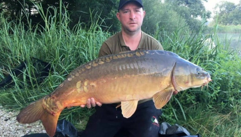 A carp from Brie, Jul 2017