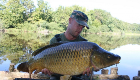 A carp from Brie, Oct 2014